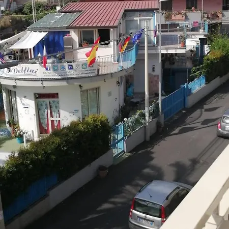 I Delfini Di Casa Paola