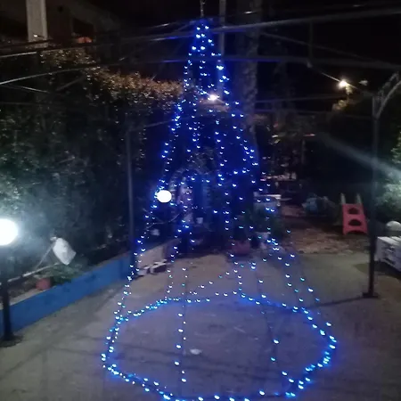 I Delfini Di Casa Paola